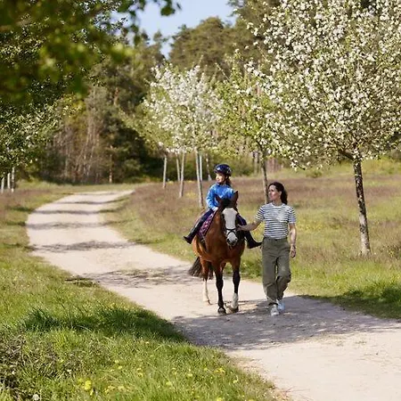 Prázdninový areál Der Valk Linstow Dobbin-Linstow