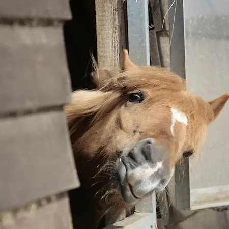 Feriepark Der Valk Linstow Dobbin-Linstow