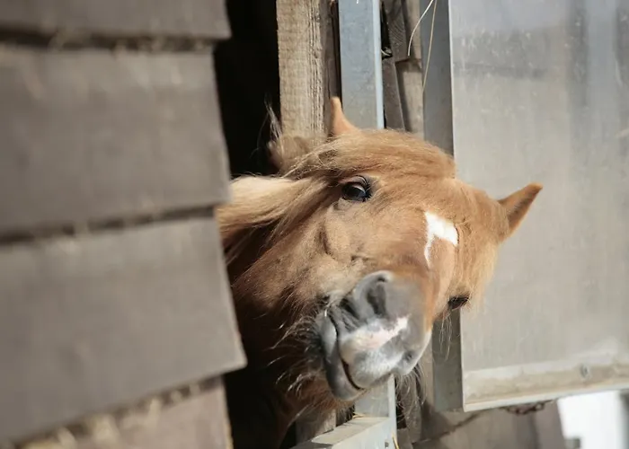 Ferienpark Der Valk Linstow Dobbin-Linstow